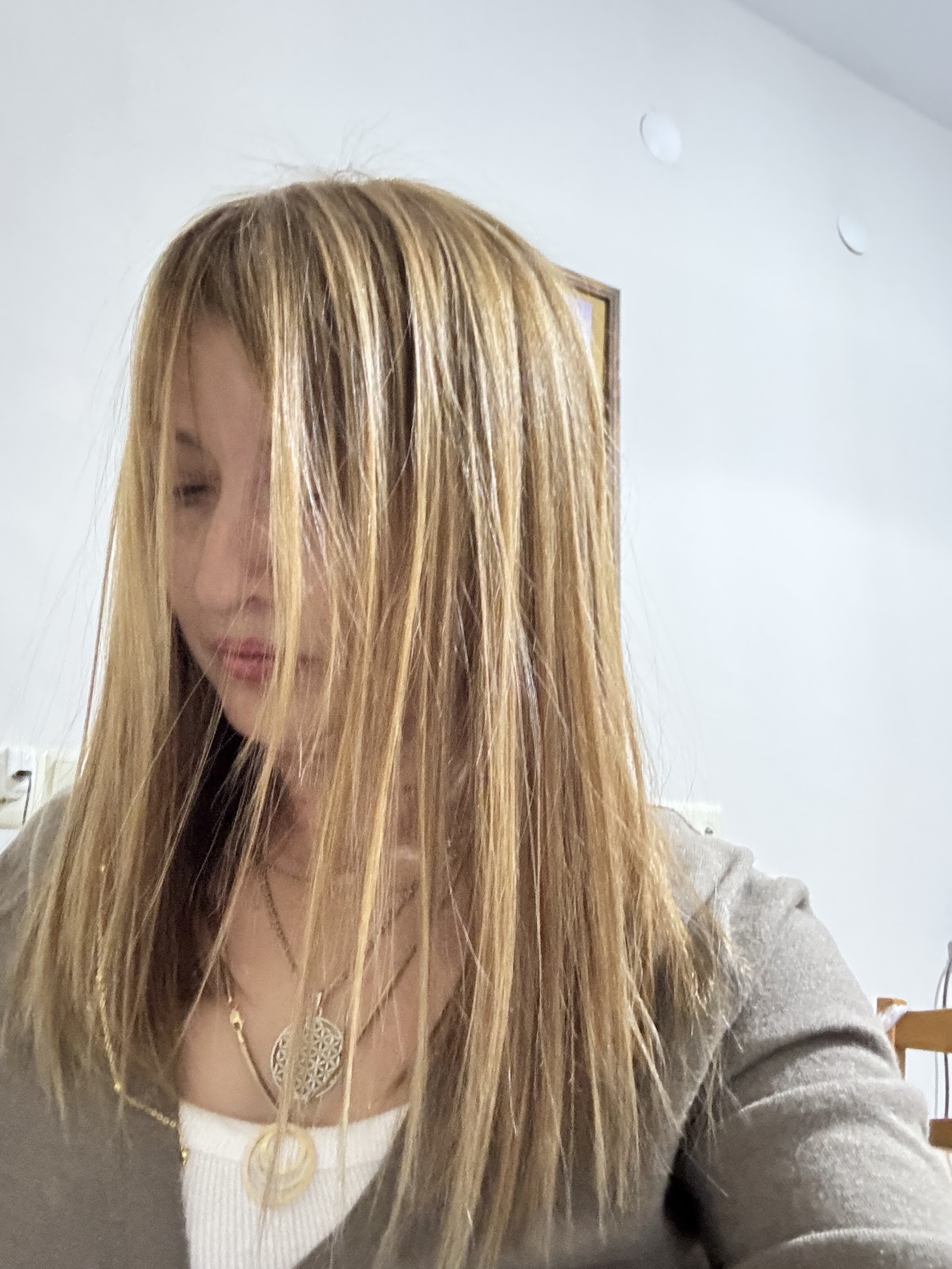 Butterfly Coiffeur
