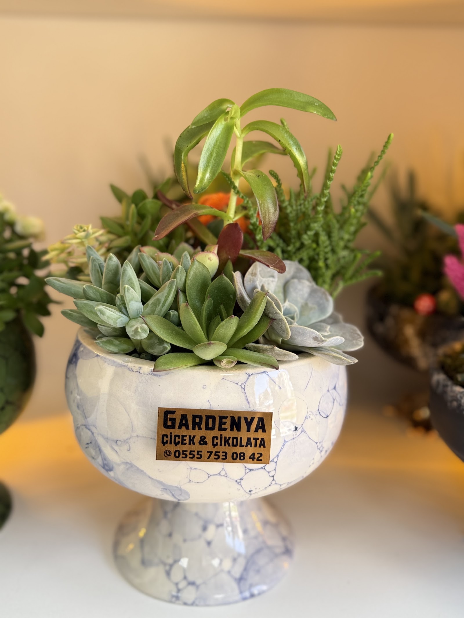 Gardenya Çiçekçilik Adıyaman Çiçekçi